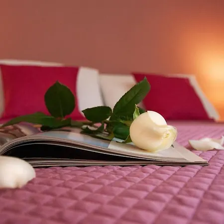 Corso Alberto In Terrazza Διαμέρισμα Παλέρμο